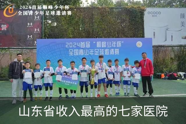 山东省收入最高的七家医院