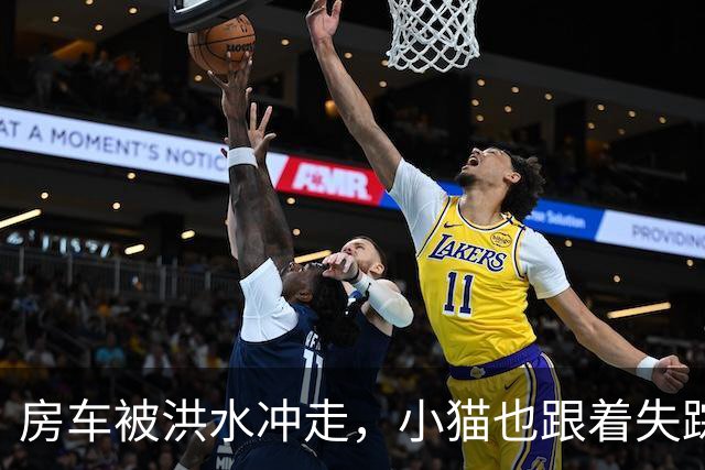 房车被洪水冲走,小猫也跟着失踪,8天后它突然回家了,全家人都哭了
